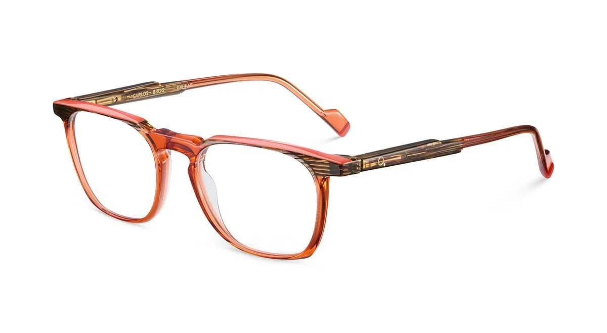 Etnia Barcelona CARLOS Eyeglasses - view 10